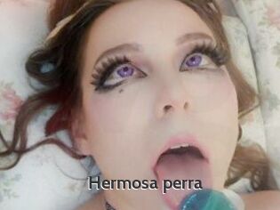 Hermosa_perra