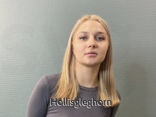 Hollisgleghorn