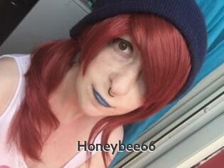 Honeybee66