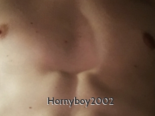 Hornyboy2002