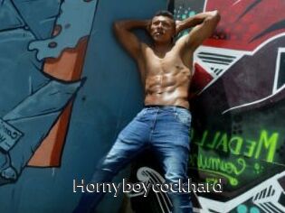 Hornyboycockhard
