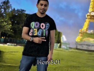 Hoss301