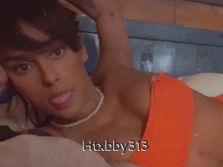 Htxbby313