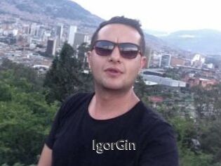 IgorGin