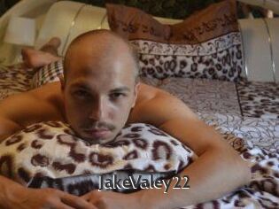 JakeValey22
