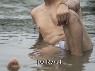 Joe_Novel