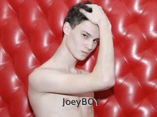 JoeyB0Y