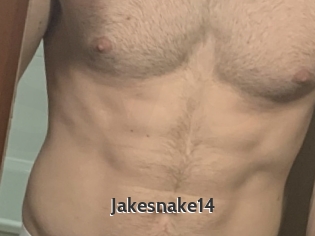 Jakesnake14