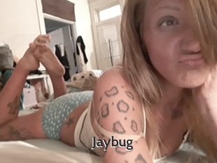 Jaybug