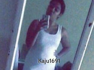 Kaju1691