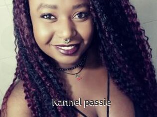 Kannel_passie