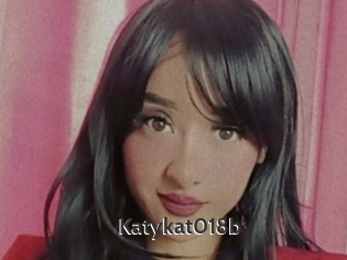 Katykat018b
