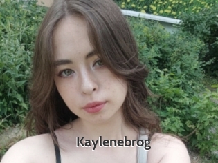 Kaylenebrog