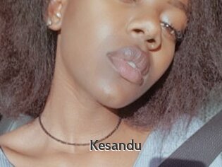 Kesandu