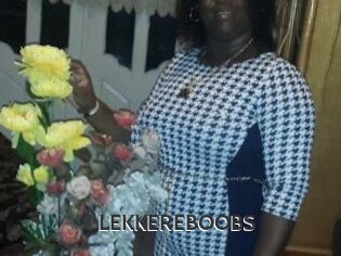 LEKKEREBOOBS