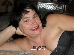 Lilly377