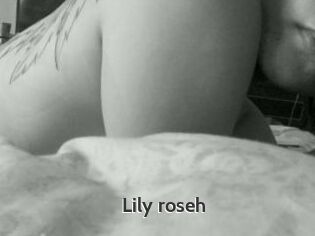 Lily_roseh