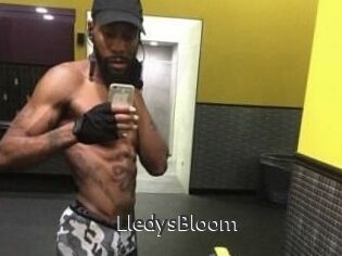 Lledys_Bloom