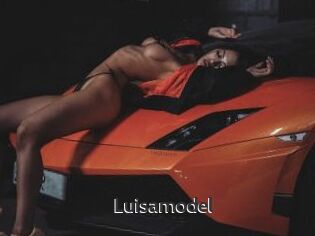 Luisamodel