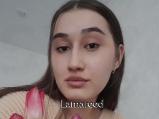Lamareed