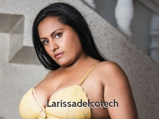 Larissadelcotech