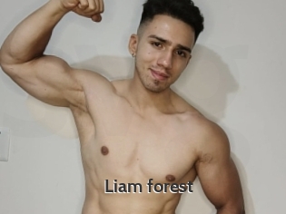 Liam_forest