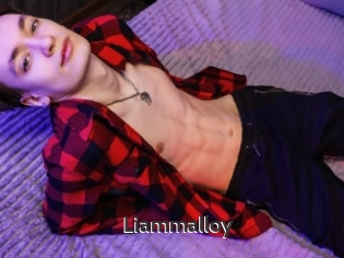 Liammalloy