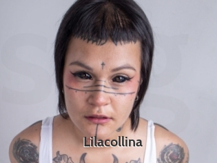 Lilacollina