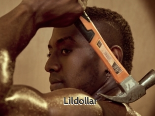 Lildollar