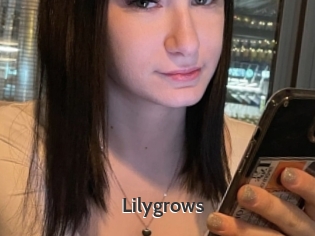 Lilygrows