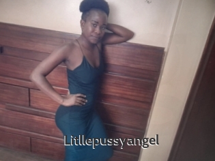 Litllepussyangel