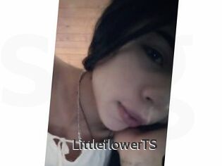 LittleflowerTS