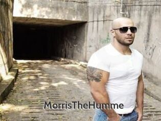 MorrisTheHumme