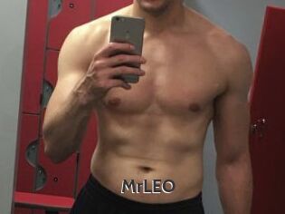 MrLEO