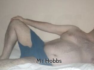Mr_Hobbs