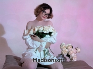 Madisonsoft