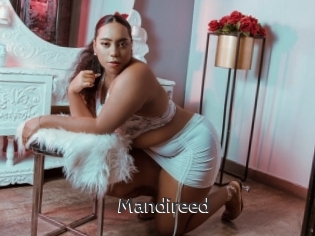Mandireed