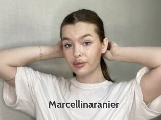 Marcellinaranier