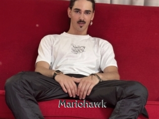 Mariohawk