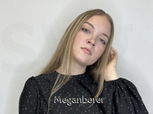 Meganborer