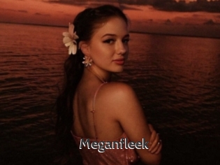Meganfleek