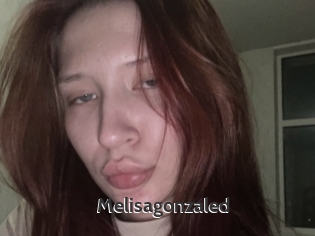 Melisagonzaled