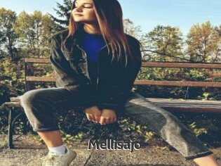 Mellisajo