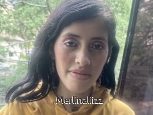 Merlinaliizz