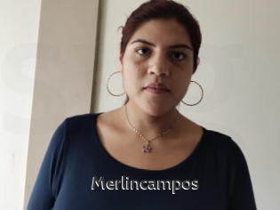 Merlincampos