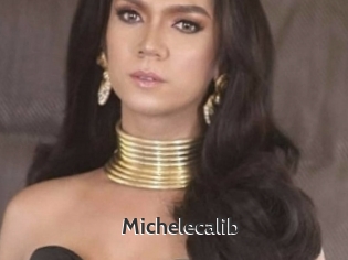 Michelecalib