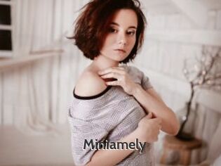 Miniamely