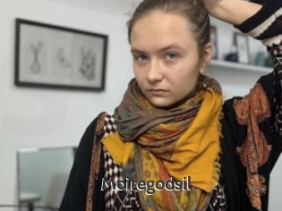 Moiregodsil