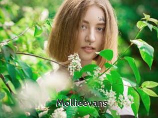 Mollieevans