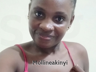 Mollineakinyi